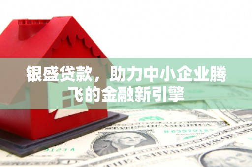 平湖银盛贷款，助力中小企业腾飞的金融新引擎