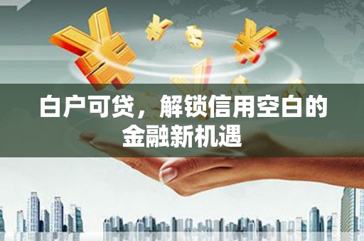 平湖白户可贷，解锁信用空白的金融新机遇
