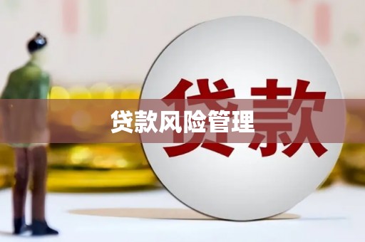 平湖贷款风险管理