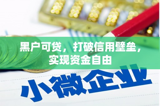 平湖黑户可贷，打破信用壁垒，实现资金自由