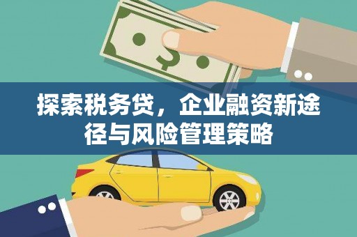 平湖探索税务贷，企业融资新途径与风险管理策略