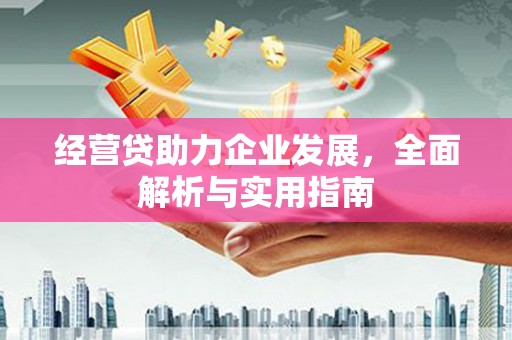 平湖经营贷助力企业发展，全面解析与实用指南