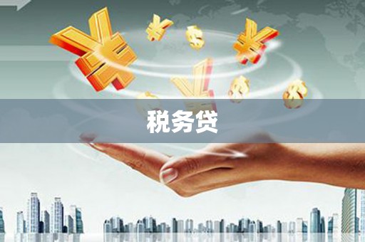 平湖税务贷