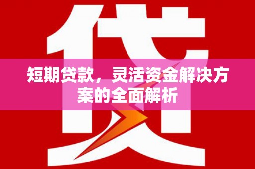 平湖短期贷款，灵活资金解决方案的全面解析