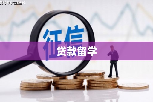 平湖贷款留学