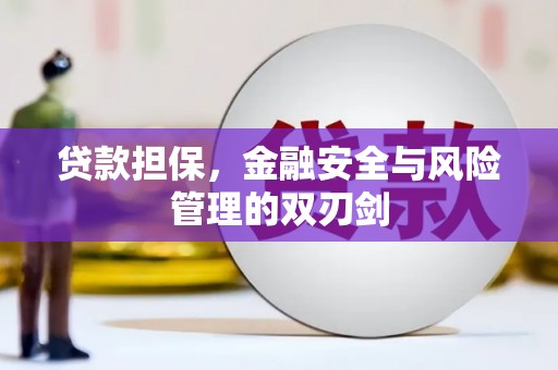 平湖贷款担保，金融安全与风险管理的双刃剑