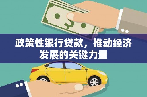 平湖政策性银行贷款，推动经济发展的关键力量