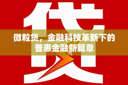 平湖微粒贷，金融科技革新下的普惠金融新篇章