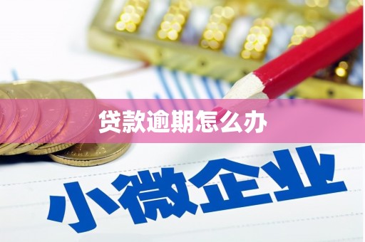 平湖贷款逾期怎么办