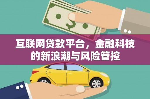平湖互联网贷款平台，金融科技的新浪潮与风险管控