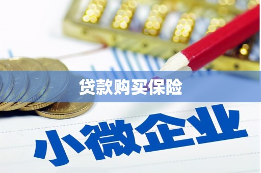 平湖贷款购买保险