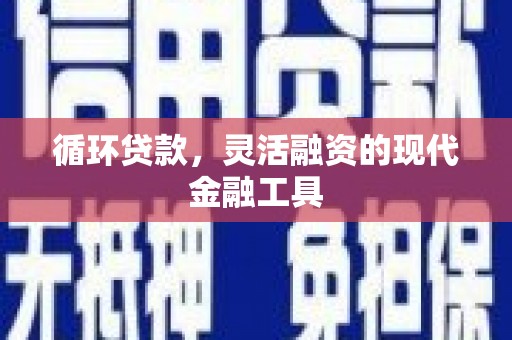 平湖循环贷款，灵活融资的现代金融工具