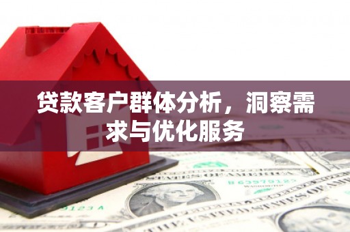 平湖贷款客户群体分析，洞察需求与优化服务